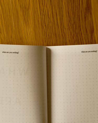 "What Are You Seeking?" Dot Notebook